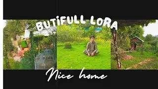 Lora hazara  😍🥰