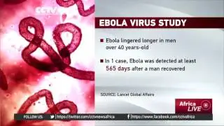 Study shows Ebola virus can last in semen for up to 565 days