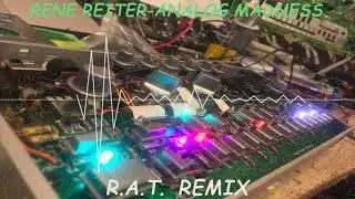Rene Reiter-Analog Madness (R.A.T. Remix)