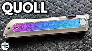 EXCELLENT VALUE! Kizer Quoll Folding Knife - Overview and Review 