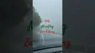 Ooty | Pet Friendly Mini Vlog #ooty #ootyvlog #dogshorts #zara #travel #travelwithpets #staywithhams