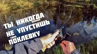 Fishing VLOG. Съёмка на рыбалке. Часть 2. Идеальная сборка