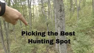 How to Pick the Best Hunting Spot