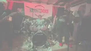 BLUESDOXS HAUS RODE