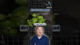 Why Nightshades Aren't Always Our Friends 🍅🥔🚫