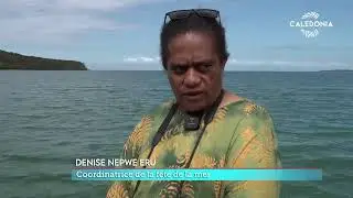 Népoui innove pour sa 3e édition de la Fête de la mer