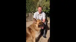 NEW VISION THERAPY - Post Traumatic Stress Body Engineer - Chris Duquemin