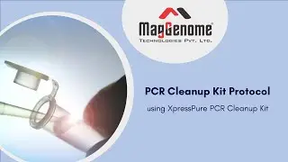 XpressPure PCR Cleanup Kit | PCR Cleanup Kit Protocol