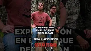 🕯️ Exploramos ruinas olvidadas en Tlalpan #BOSQUEDETLALPAN #cdmx #historiaoculta #lugaresolvidados