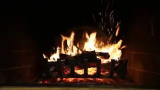 Virginia fireplace with black lab fireback
