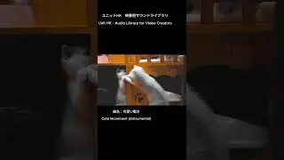Unit HK | Sound Library for Visuals - 映像動画用BGM紹介 #shorts