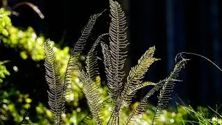 Geest van God (JdH 300, Spirit of the Living God)