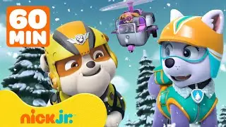 Paw Patrol | I salvataggi degli animali con Rubble e Skye! | 1 ora | Nick Jr. Italia