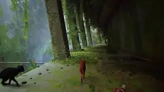 Stray ps5