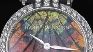 Harry Winston Premier Precious Butterfly Automatic 36mm
