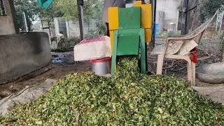 3hp high speed Chaff cutter with motor #chaff_cutter #chaff_cutter_machine ##3hpsolarpump