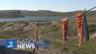 The risk of botulism poisoning and how to prevent it | APTN News