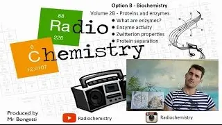 Option B: Biochemistry - Proteins and Enzymes Volume 2
