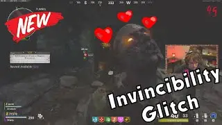 New Invincibility Glitch in Cold War Zombies