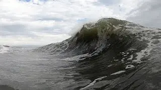 Is THIS the ULTIMATE NOVELTY WAVE!?