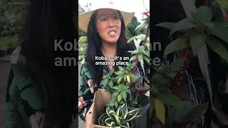Plant Nursery In Hawaii🌿