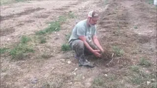 All-Natural Mulching for Optimal Nutrients in Your Crops | Fermented Farmer