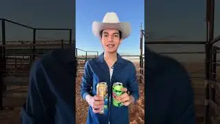 Pepenadores 😧