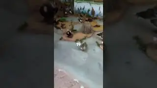 птицы