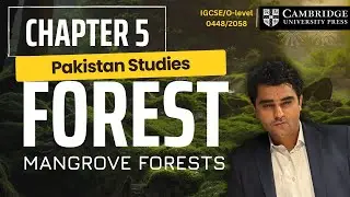 5.4 Forest | Mangroves & Uses of Forests | Pakistan Studies | Cambridge O-Level/IGCSE | (2059/0448)