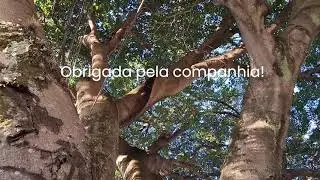 Empreendedorismo em Indaiatuba