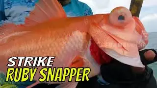 Parade Strike Ruby Snapper | MANCING MANIA STRIKE BACK (01/07/23) Part 2