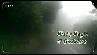 misty magical moment on winter || vlog -27 || gudalour jungle safari