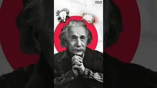 From late bloomer to scientific pioneer, Einstein redefined what&rsquo;s possible 💡#shorts #facts