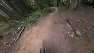Maple ride