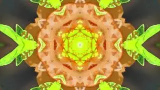 Kaleidoscopic Art in the Backyard with the Lumix FZ80 - Ann Arbor Photographic Arts June 2024 (ejk)