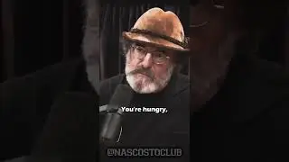 The Stoned Ape Theory Explained 🦧🍄
