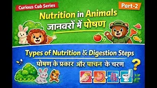 Nutrition in Animals | Types of Nutrition, Ingestion, Digestion & Egestion | Class 7 Science |