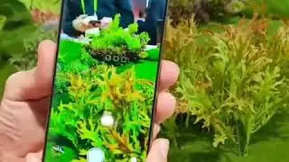 NUBIA X first look