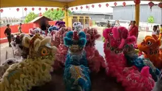 lion dance eye dotting ceremony