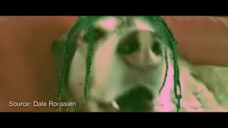 Autotune Dog [Trap Remix]