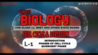 Cell Cycle | Lecture 1 | NCERT Notes | NEET | Class 11 l introduction, phases of cycles #NEET2026