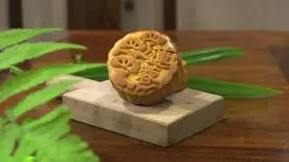 Photography test - Mooncake still product | 00067b