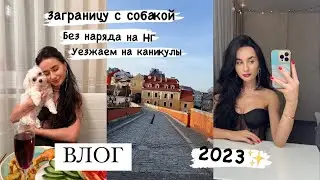 ПЕРВЫЙ ВЛОГ В 2023 💕