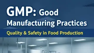 GMP #AI #fsoexam #foodbusiness #fssaiexam #fssaiexam #ai #aivideo 