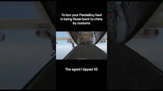 POV Your Pandabuy Agent #shorts