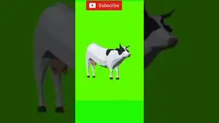 3D cartoon, Cow running green screen effect video background  video #cow #cowvideos #cowlover