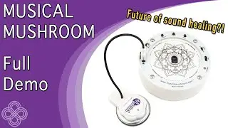 Musical Mushroom Full Demo, Unboxing, Setup, and Guide - Crystal Vibes Singing Bowls
