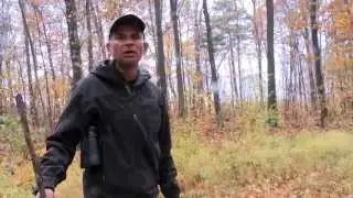 Rod Coronado of Great Lakes Wolf Patrol explains wolf traps