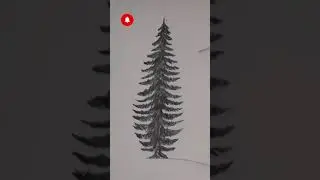 Drawing Fir Tree Step by Step #shorts #firtreedrawing #pencildrawing