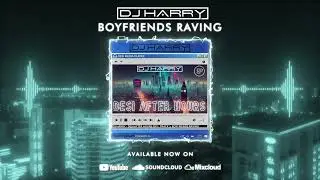 BOYFRIENDS RAVING - DJ HARRY